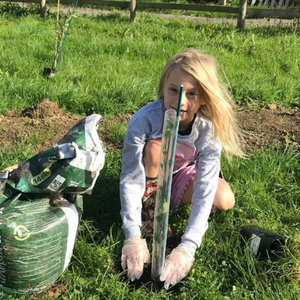 Planting trees