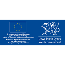 Welsh Gov EU