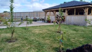 Trees in front of the outdoor classroom