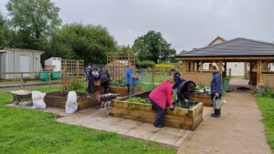 Veg patch