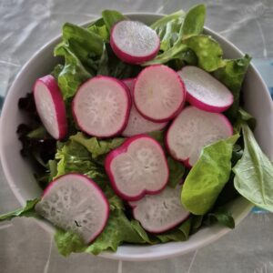 salad
